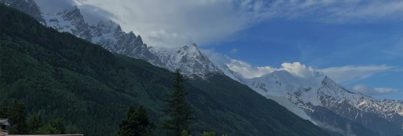 Les consortages de la vallée de Chamonix