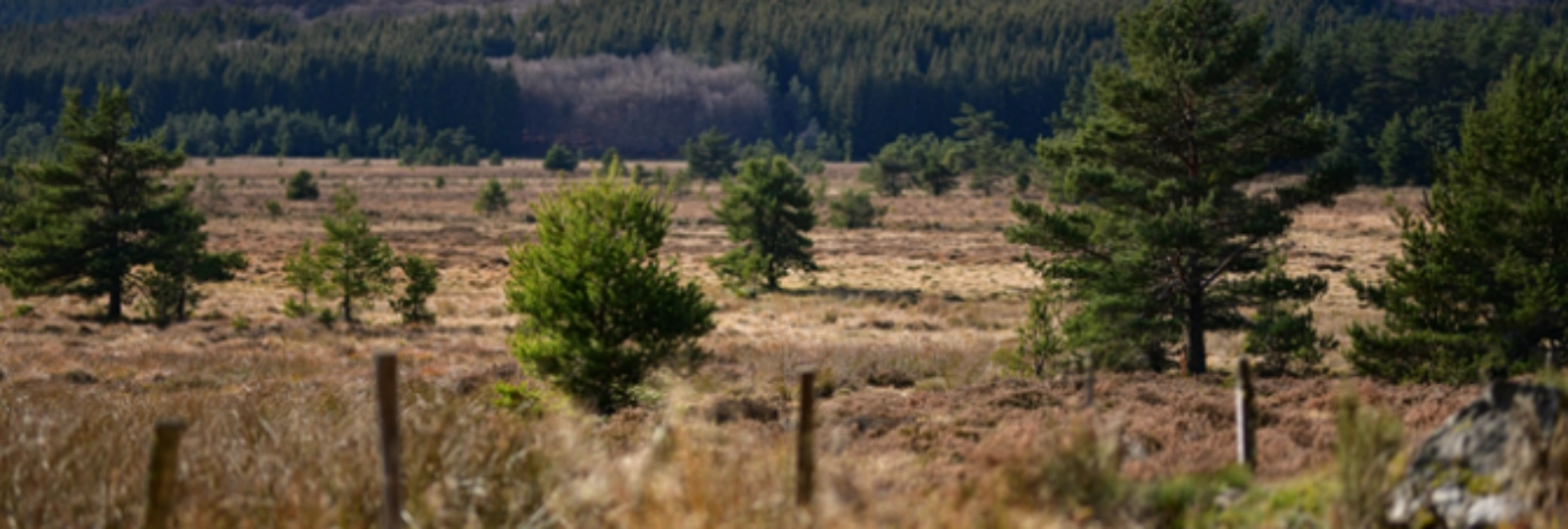 Communs fonciers, forêts et eau : quelles gouvernances ?